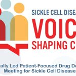 Sickle Cell Disease Association of America Inc. Hosts Externally Led Patient-Focused Drug Development Meeting on Sickle Cell Disease