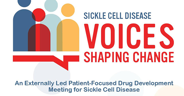 Sickle Cell Disease Association of America Inc. Hosts Externally Led Patient-Focused Drug Development Meeting on Sickle Cell Disease