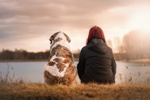 Pet Owner with Pet Looking at Sunset
